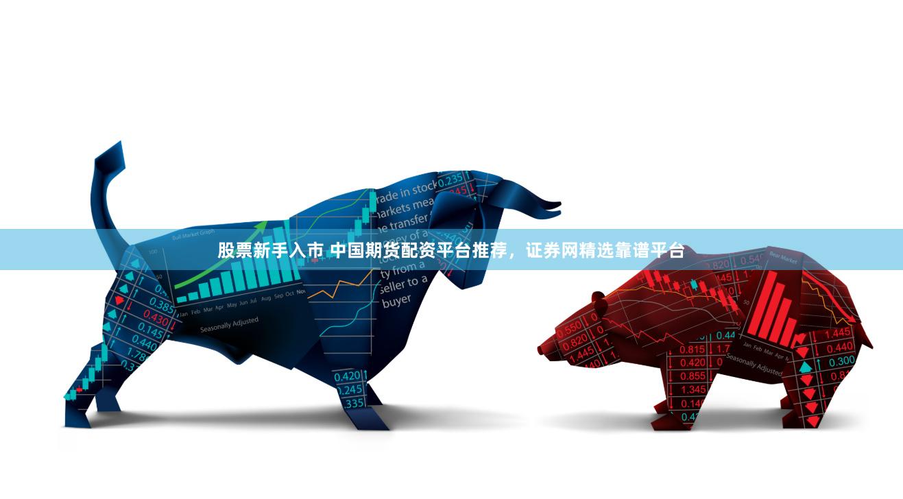 股票新手入市 中国期货配资平台推荐，证券网精选靠谱平台