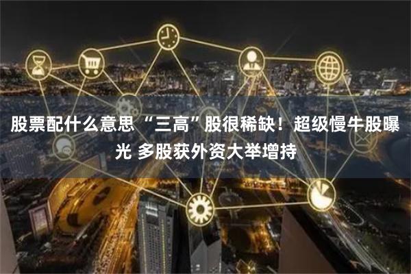 股票配什么意思 “三高”股很稀缺！超级慢牛股曝光 多股获外资大举增持
