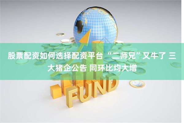 股票配资如何选择配资平台 “二师兄”又牛了 三大猪企公告 同环比均大增