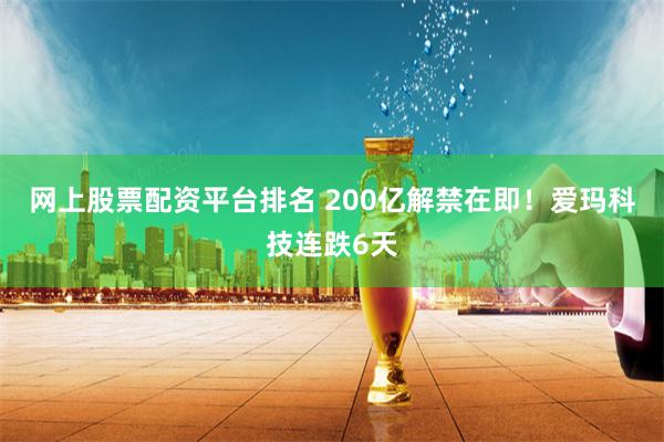 网上股票配资平台排名 200亿解禁在即！爱玛科技连跌6天
