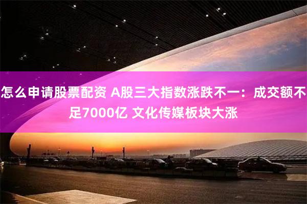 怎么申请股票配资 A股三大指数涨跌不一：成交额不足7000亿 文化传媒板块大涨