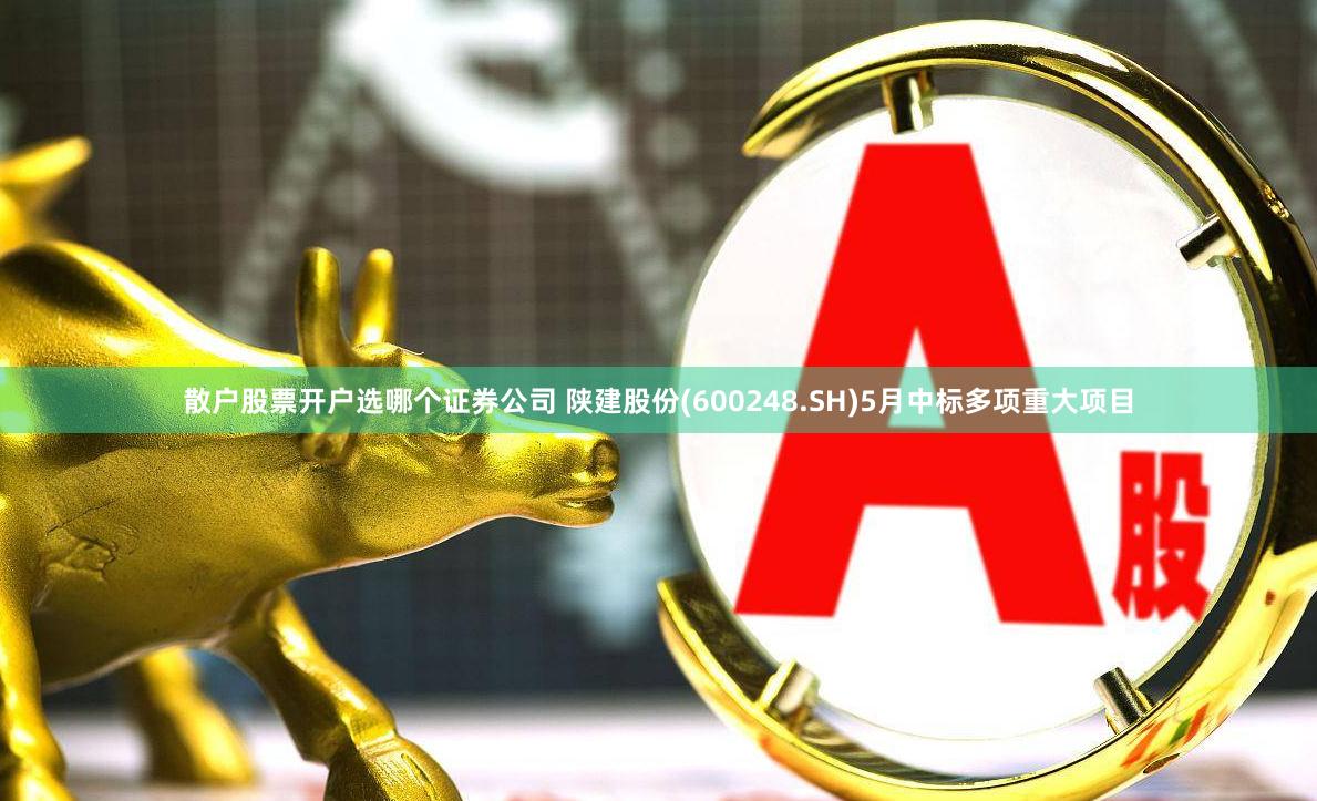 散户股票开户选哪个证券公司 陕建股份(600248.SH)5月中标多项重大项目
