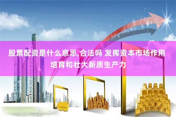 股票配资是什么意思,合法吗 发挥资本市场作用 培育和壮大新质生产力
