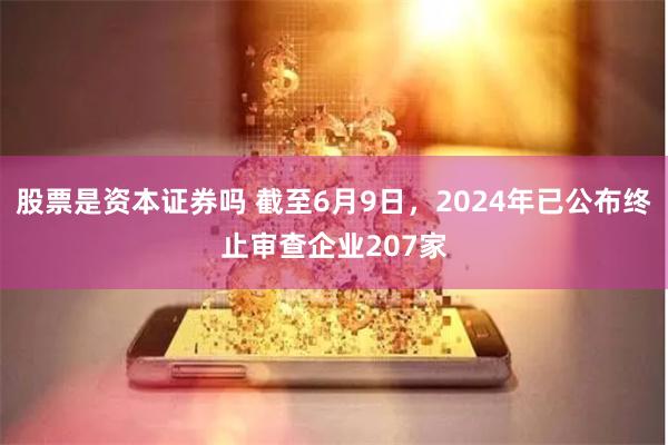 股票是资本证券吗 截至6月9日，2024年已公布终止审查企业207家