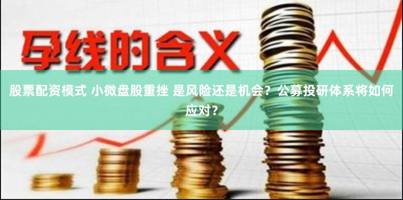 股票配资模式 小微盘股重挫 是风险还是机会？公募投研体系将如何应对？